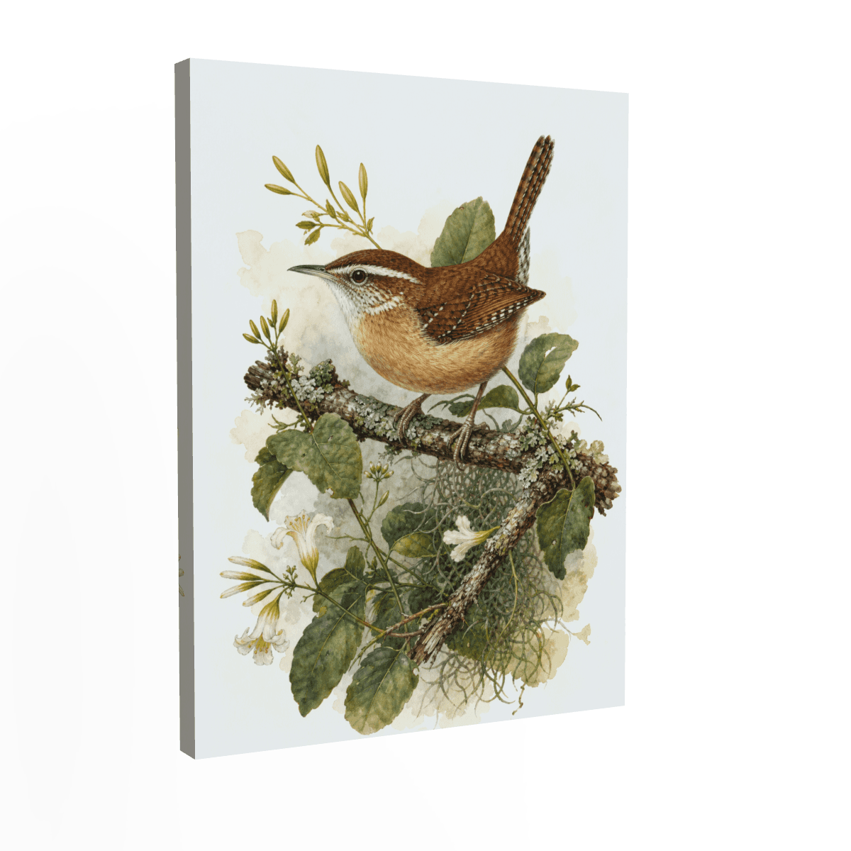 Carolina Wren — Botanical Watercolor