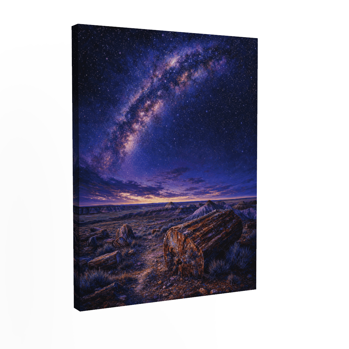 Petrified Forest — Starry Night Desert