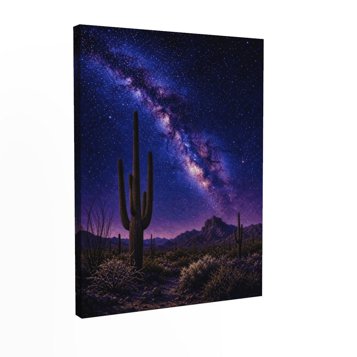 Saguaro National Park — Desert Night Sky